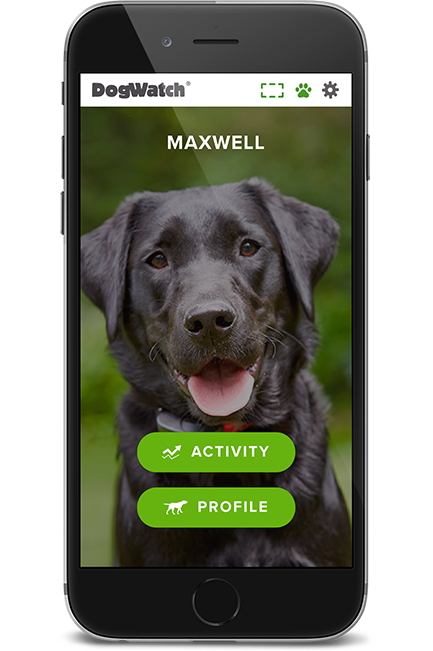 DogWatch of North Central Ohio, Loudonville, Ohio | SmartFence WebApp Image