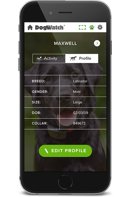 DogWatch of North Central Ohio, Loudonville, Ohio | SmartFence WebApp Image